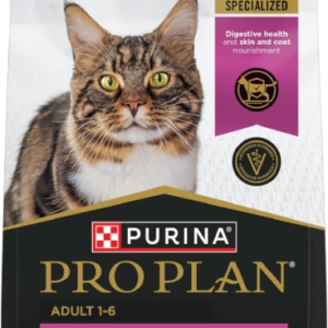 Stomach Cat Food